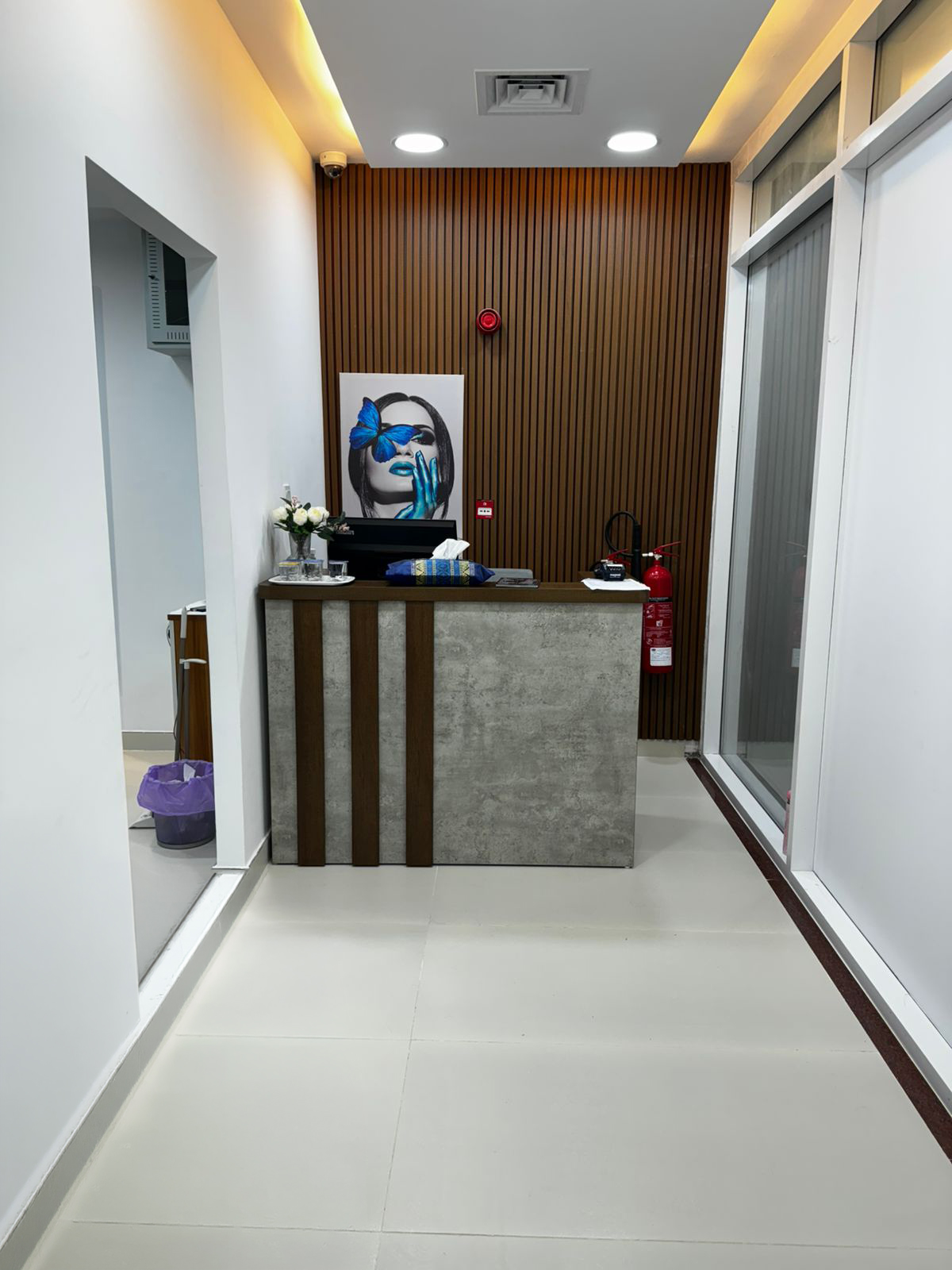 Luxurious blue sofa and artwork inside Beauty and Beyond salon